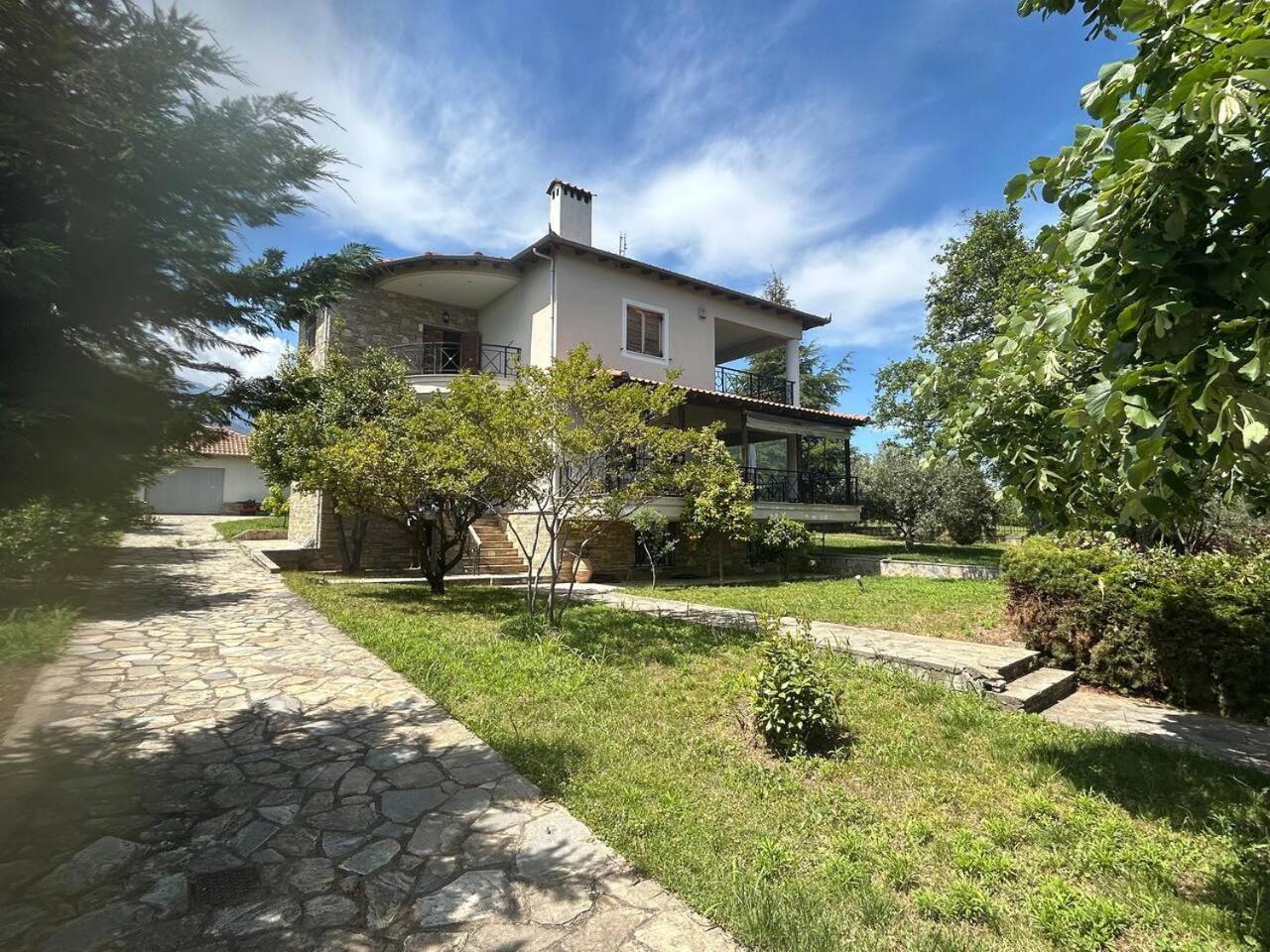 Zeusplace Karia Villa Natura Leptokarya  Exterior foto